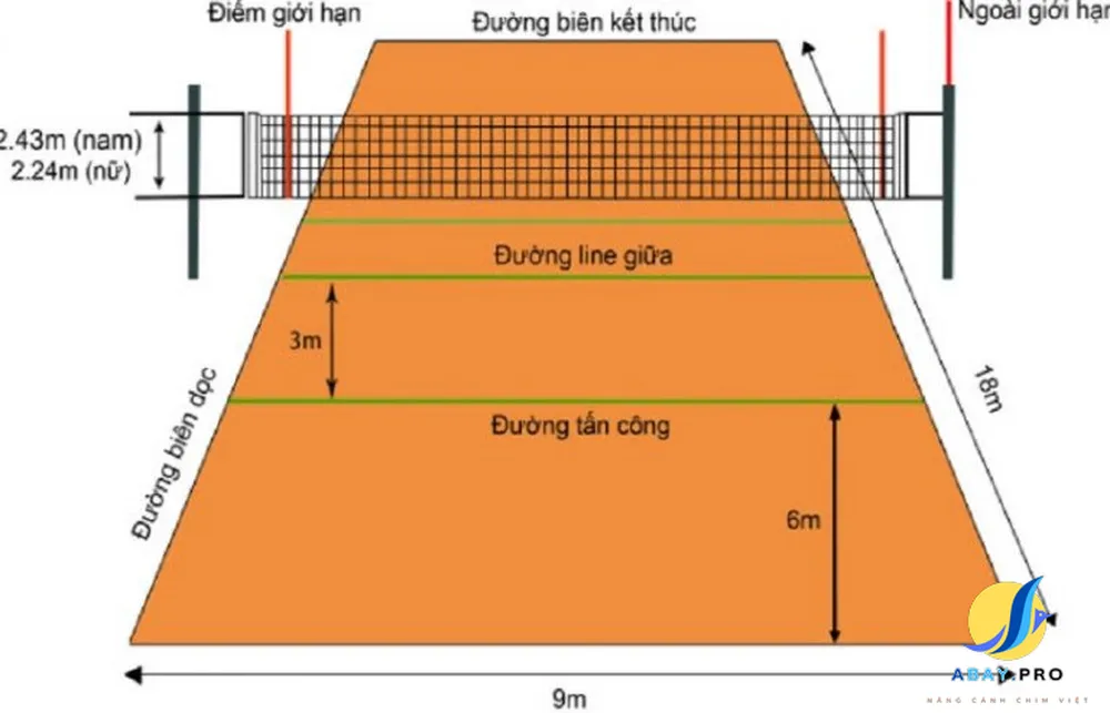 Kích thước của sân bóng chuyền nam và nữ chuẩn nhất 2024