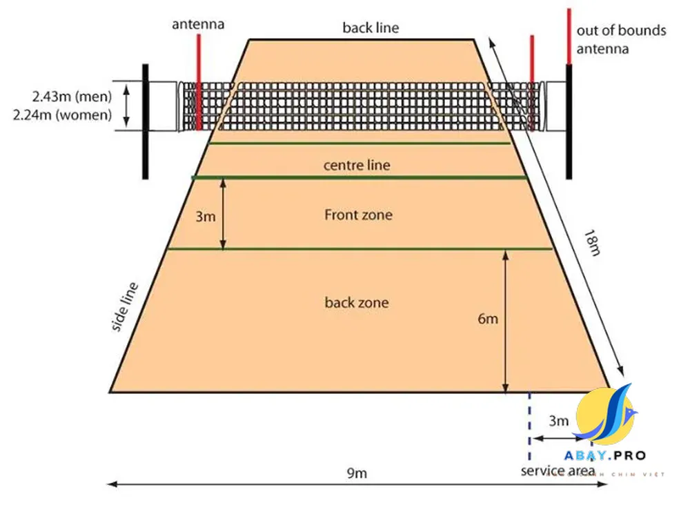 Luật thi đấu bóng chuyền hơi mới nhất 2024 và quy định thi đấu